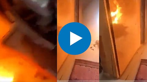 Viral Video