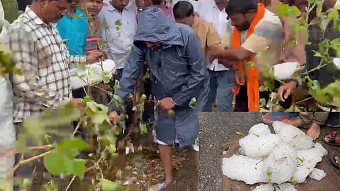 Buldhana Unseasonal Rain
