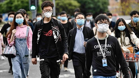 China New Virus