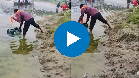 Food Viral Video