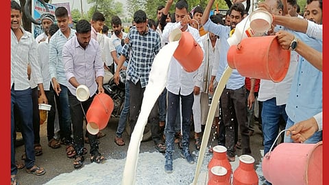 Beed News