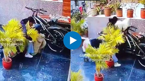 CCTV Footage