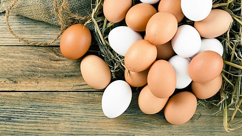 Egg Price Rise