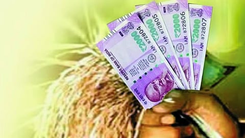 Crop Loan