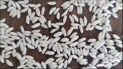 Plastic Rice