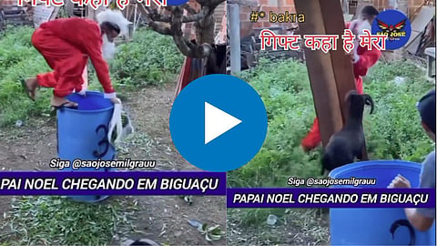 Funny Viral Video