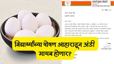 Eggs in School Nutrition