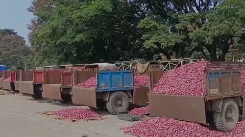 100 crore of loss as krushi utpanna bazar samiti closed since 10 days in nashik 