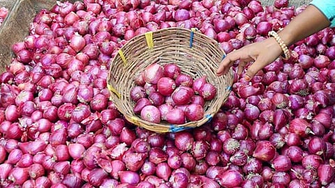 Onion Price