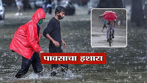 मुंबईसह राज्यातील 'या' भागात आज मुसळधार पावसाचा इशारा; IMD कडून अनेक जिल्ह्यांना अलर्ट