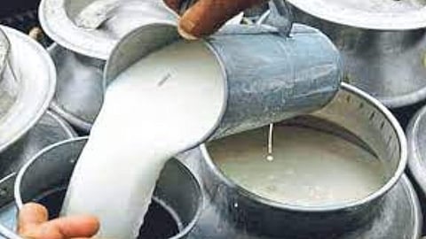 Milk Subsidy
