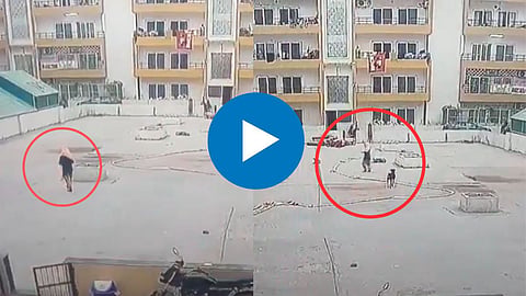CCTV Video