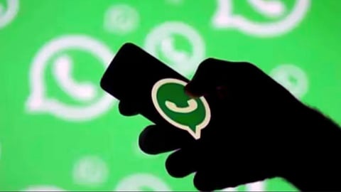 Whatsapp Chat Backup