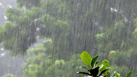 Unseasonal Rain