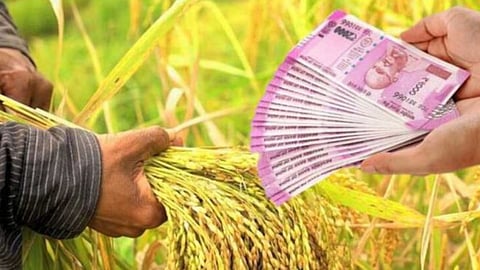 Agriculture News