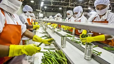  Agriculture secto