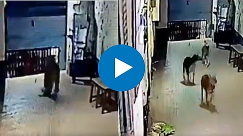CCTV Footage 
