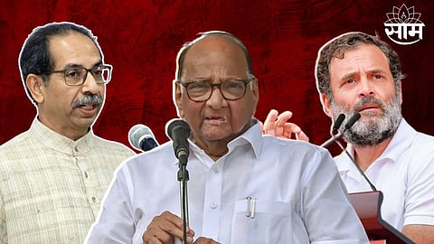 विधासभेसाठी शरद पवारांचा मास्टर प्लान; मुंबईत 'इतक्या' जागा लढवणार, महाराष्ट्र पिंजून काढणार