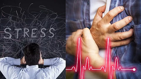 Stress Harmful to Heart : सततचा ताण, झोपेची कमतरता ठरतेय हृदयासाठी हानिकारक, रक्तवाहिन्यांवर होतोय परिणाम 