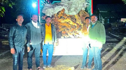 Jalgaon News Forest Department Action