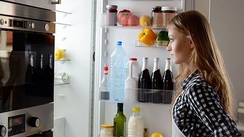 Fridge Maintenance 