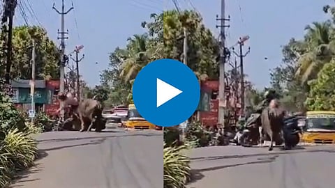 Viral Video