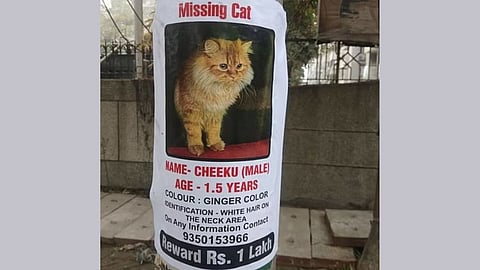 Noida Viral News