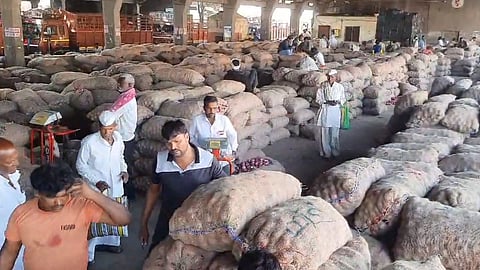 onion auction closed for 4 days in january at solapur krushi utpanna bazar samiti