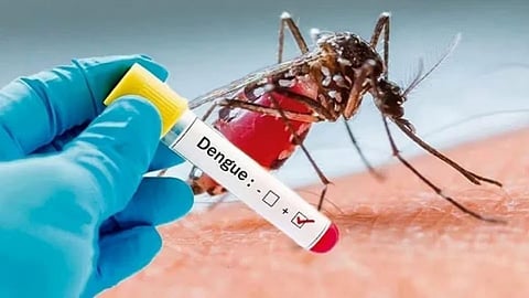 Nashik Dengue Update: नाशिककरांनो काळजी घ्या! शहरात डेंग्यूच्या रुग्णांची संख्या ३६५ वर; आरोग्य विभाग अलर्ट  