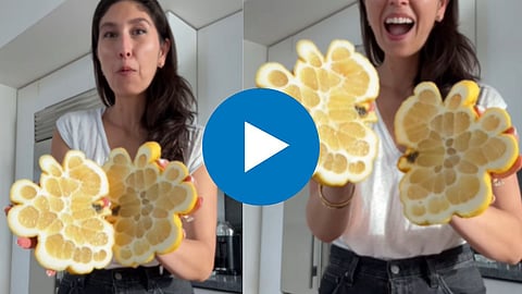 Viral Video 