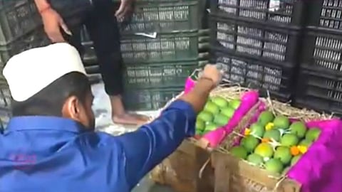 APMC Market