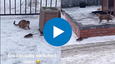 Viral Video