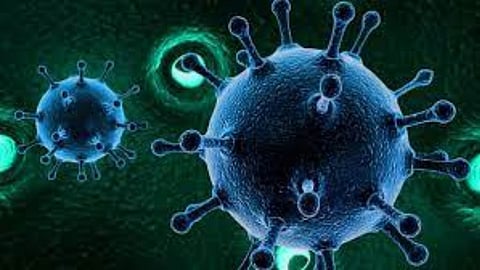 Corona Virus India 