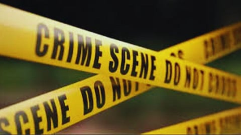  Crime news