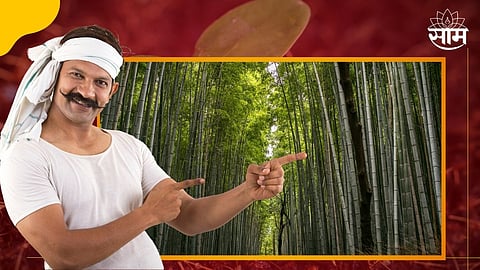 Bamboo Planting