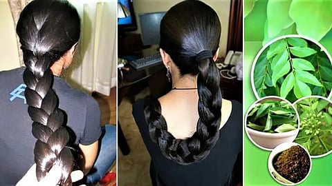 Hair Care Tips, Benefits Of Curry Leaves