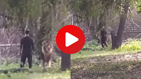 VIDEO VIRAL