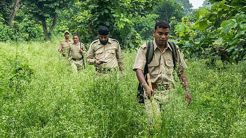 Forest Guard Recruitment