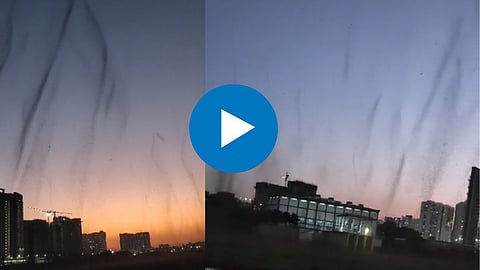 Pune Viral Video
