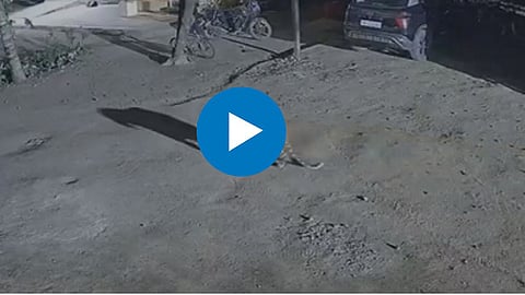 Viral Video