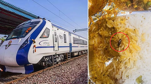 Vande Bharat Train News: Irctc'S Response Over Dead Cockroach Found In Vande Bharat Meal Photo