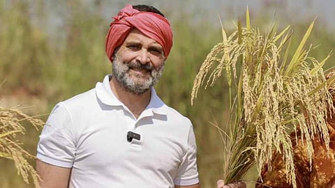 Rahul Gandhi Bharat jodo Nyaya Yatra 