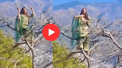 Viral Video: