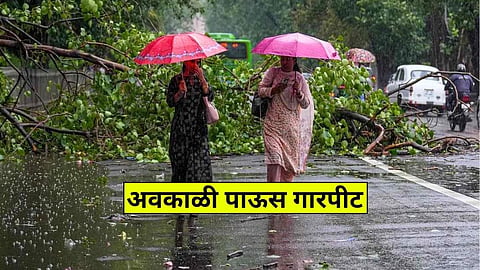 Weather Forecast 29 February 2024