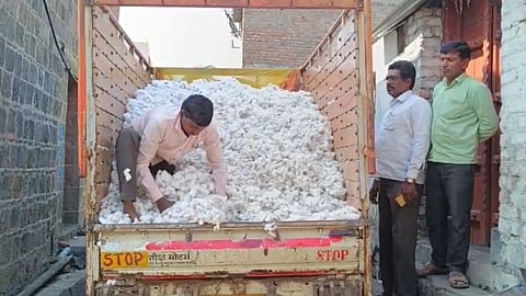 cotton corporation of india and nafed should purchase cotton from farmers demands swabhimani shetkari sanghatana