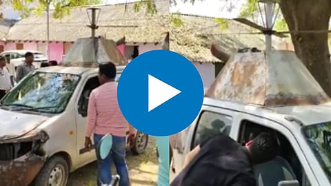 Viral Video: