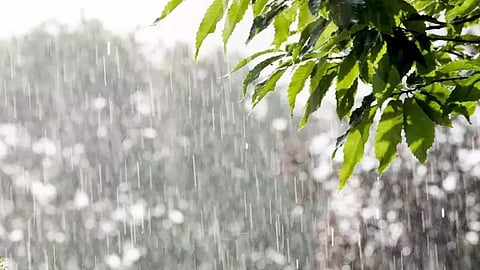 Unseasonal Rain