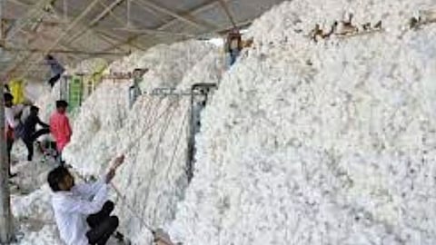 Cotton Price