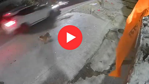Accident CCTV Footage: