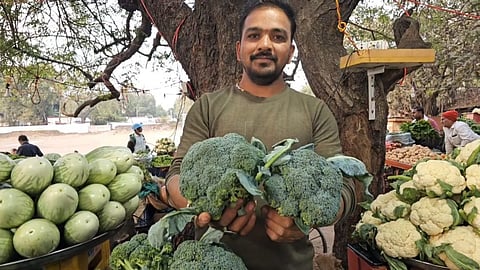 broccoli in nandurbar market